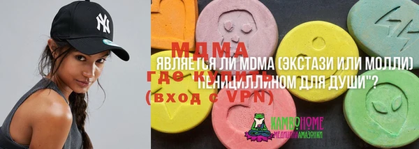 мдпв Бородино