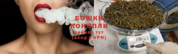 мдпв Бородино
