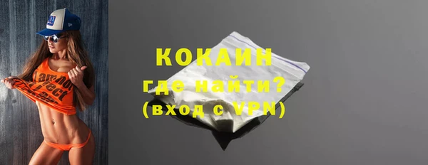 мдпв Бородино