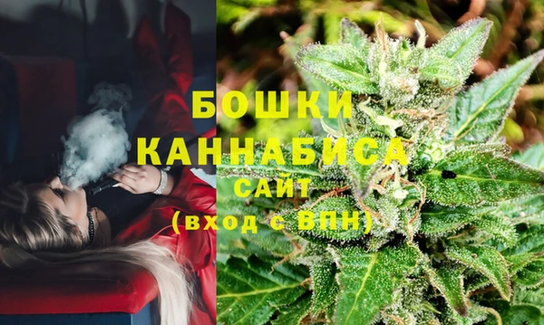 мдпв Бородино