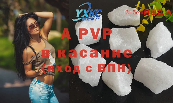 мдпв Бородино