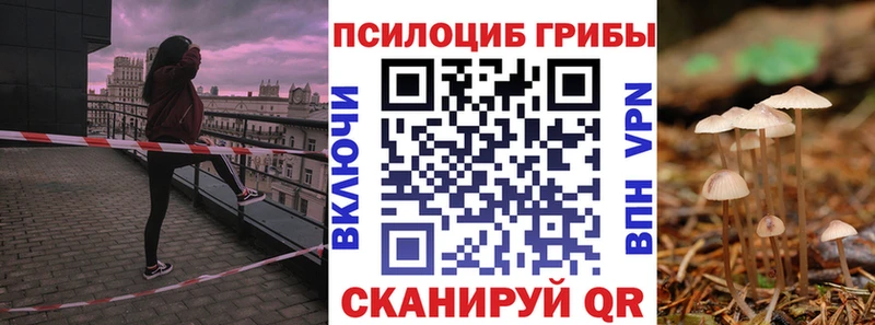Галлюциногенные грибы Psilocybine cubensis  как найти закладки  Заполярный 