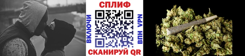 купить   Заполярный  Канабис планчик 